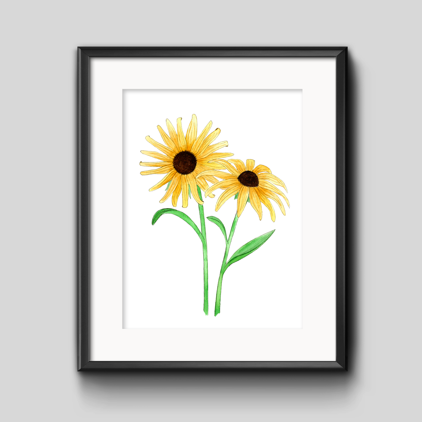 Black Eyed Susan Botanical Art Print