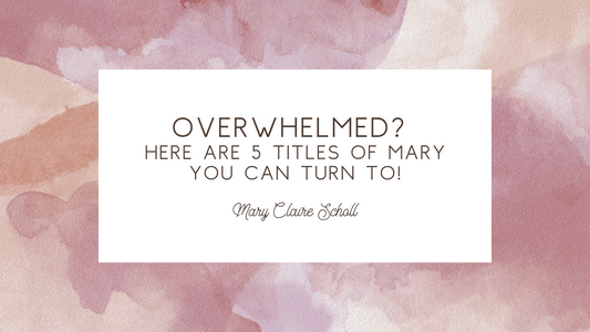 Overwhelmed? Here are 5 Titles of Mary You Can Turn To!