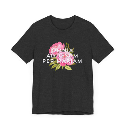 Omnia Ad Jesum Per Mariam
