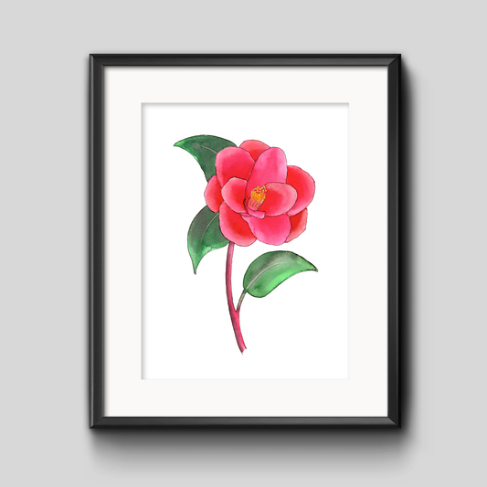 Camellia Botanical Art Print