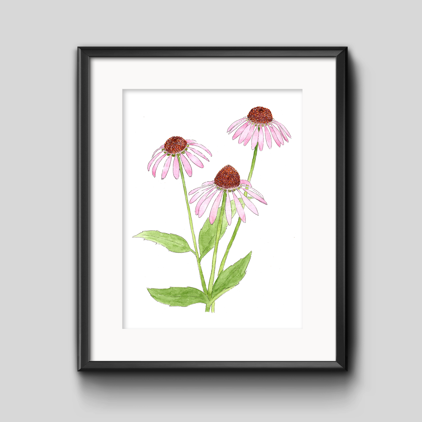 Cone Flower Botanical Art Print