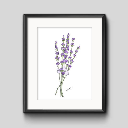 Lavender Botanical Art Print