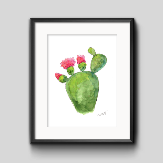 Pink Prickly Pear Botanical Art Print