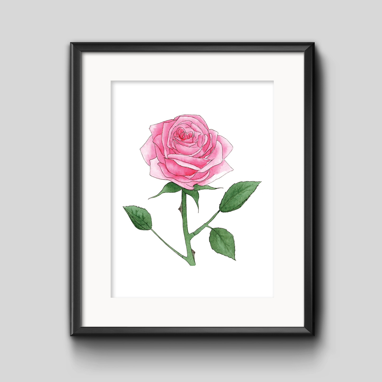 Pink Rose Botanical Art Print