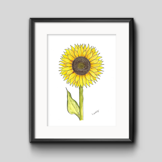 Sunflower Botanical Art Print